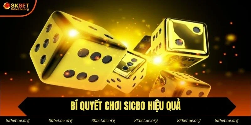 Người chơi áp dụng bí quyết để chiến thắng trong cá cược tài xỉu