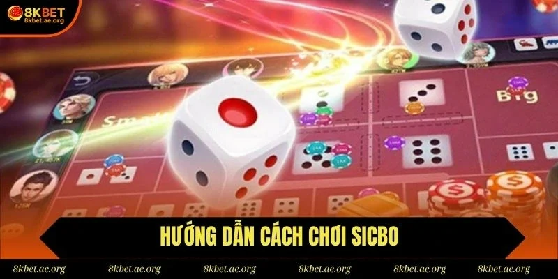 Hội viên cần nắm rõ cách chơi sicbo khi tham gia